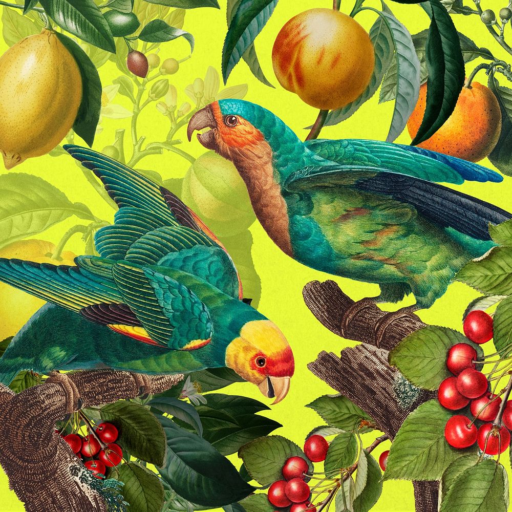 Tropical birds pattern background, jungle illustration