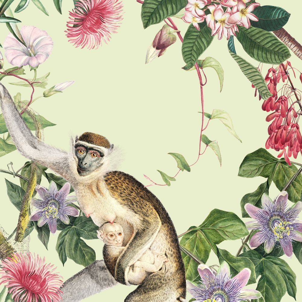 Vintage floral monkey background, jungle illustration