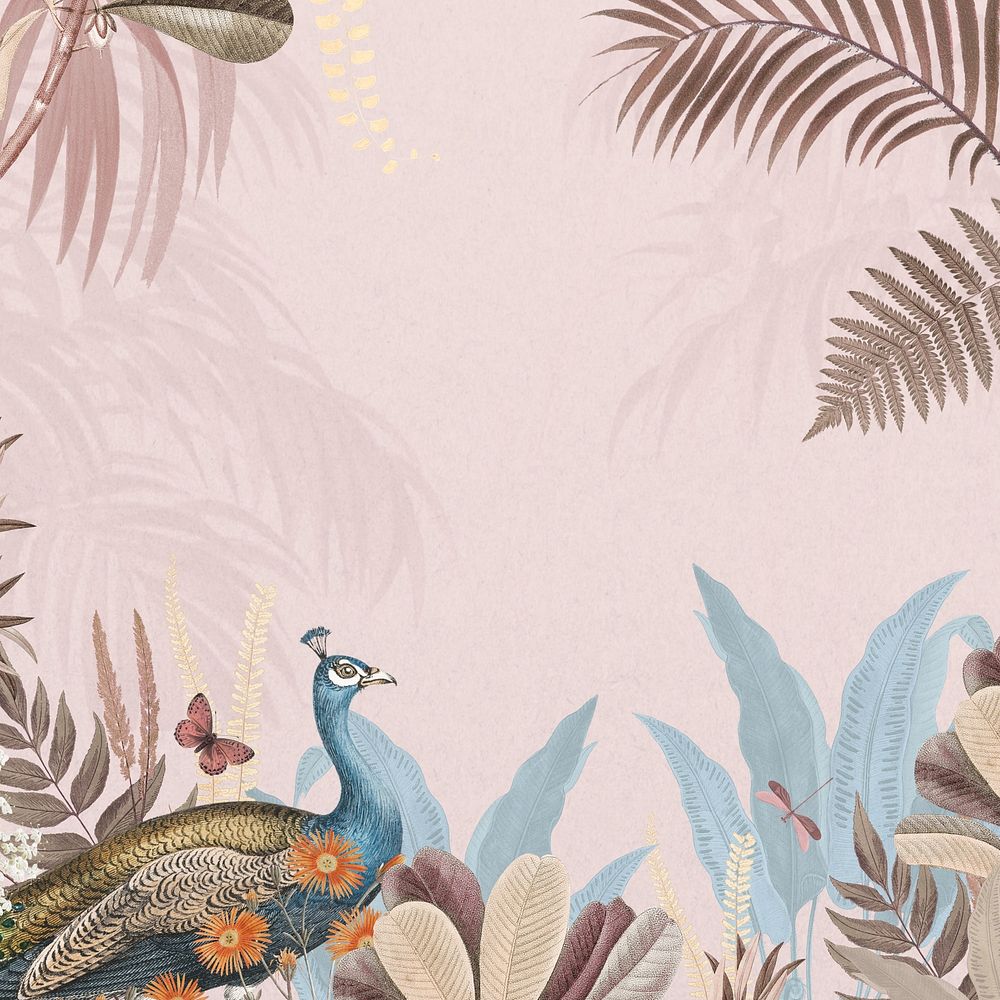 Pink aesthetic peacock background, botanical border