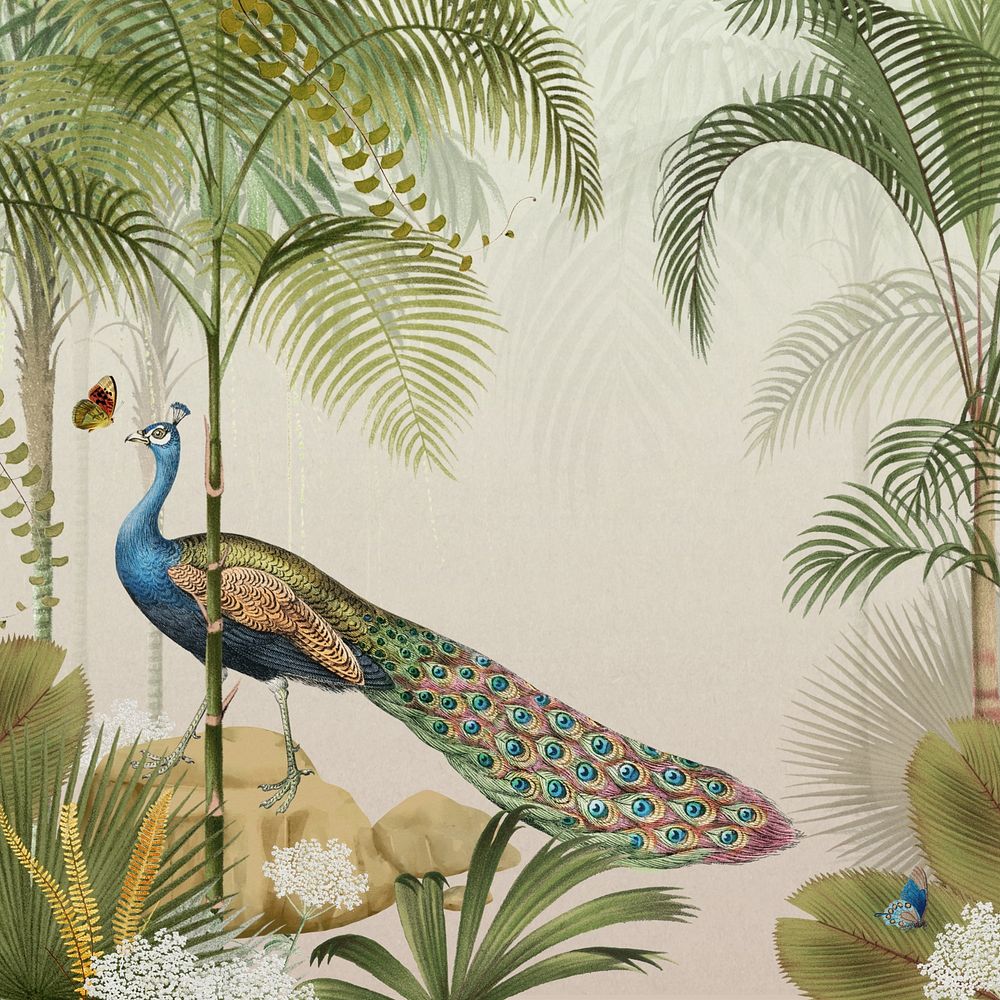 Jungle peacock bird background, vintage palm trees