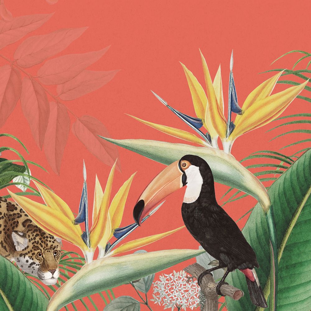 Toco toucan bird background, orange exotic plant border