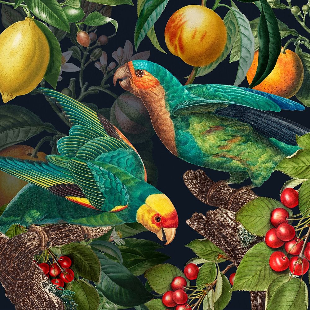 Tropical birds pattern background, jungle illustration