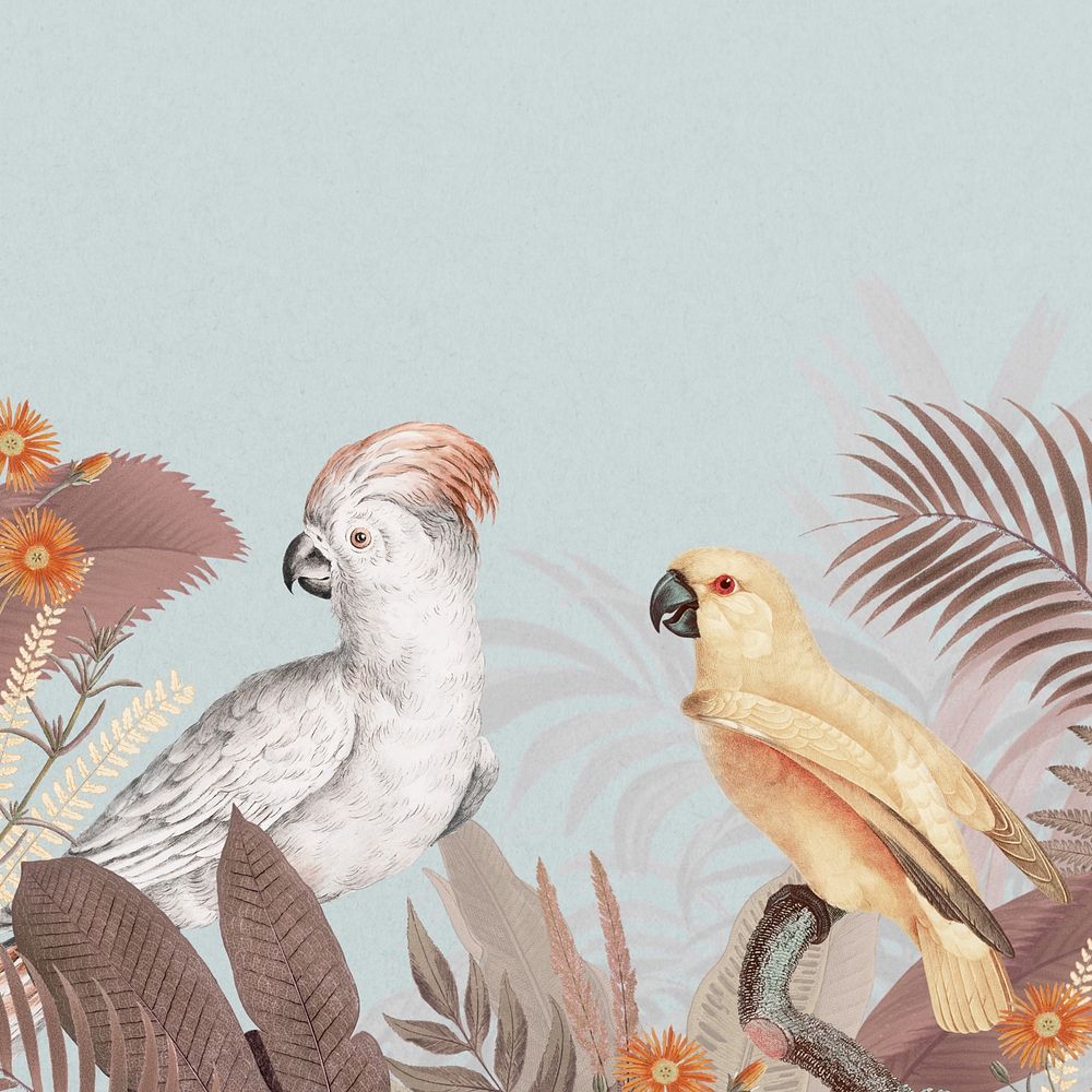 Exotic jungle bird background, aesthetic botanical border