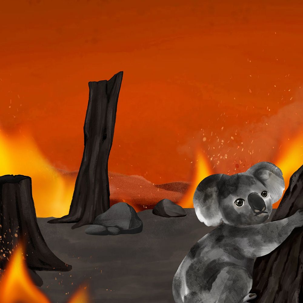 Koala, bushfire background, aesthetic paint illustration