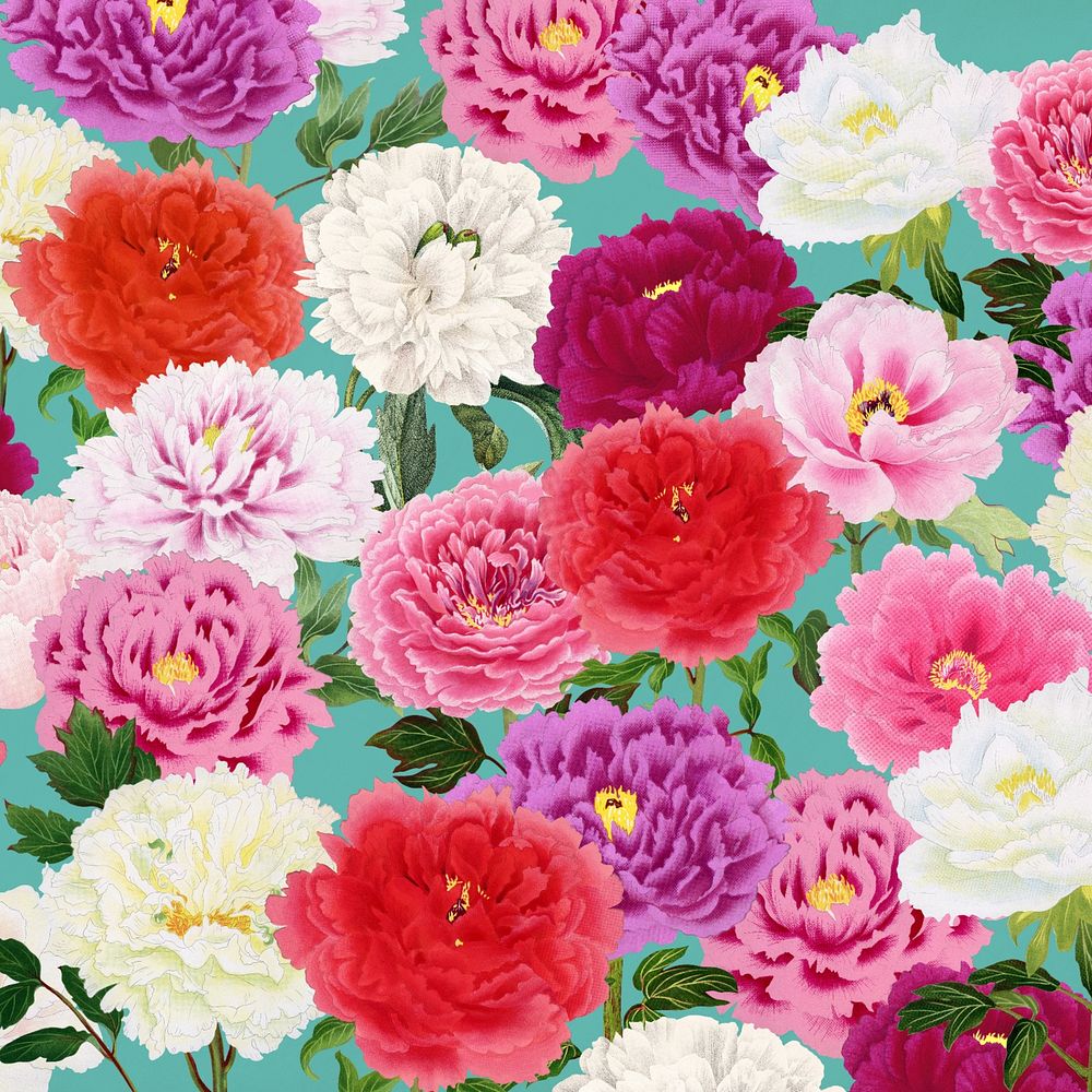 Colorful carnation flowers background, botanical pattern illustration