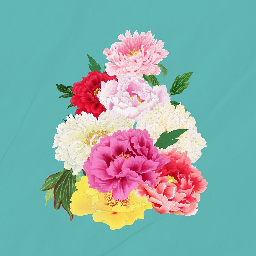 Colorful carnation flower, botanical illustration