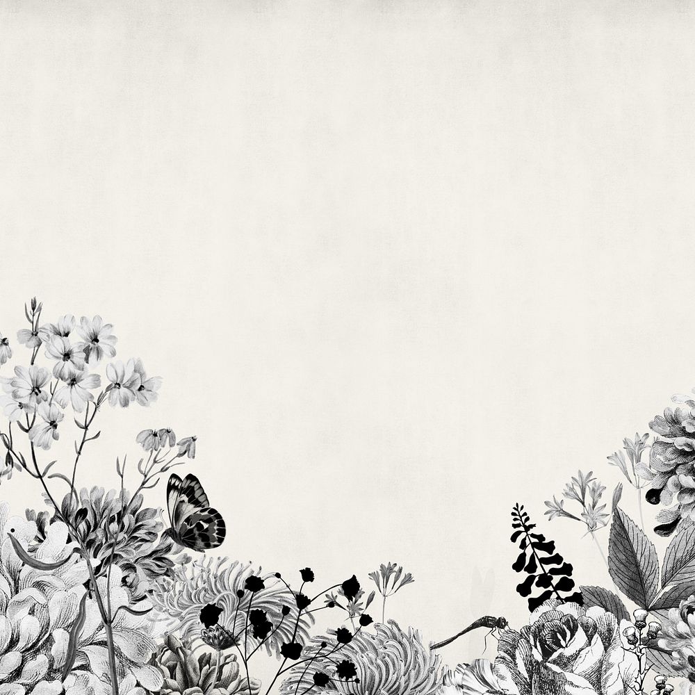 Vintage flower border background, black and white botanical illustration