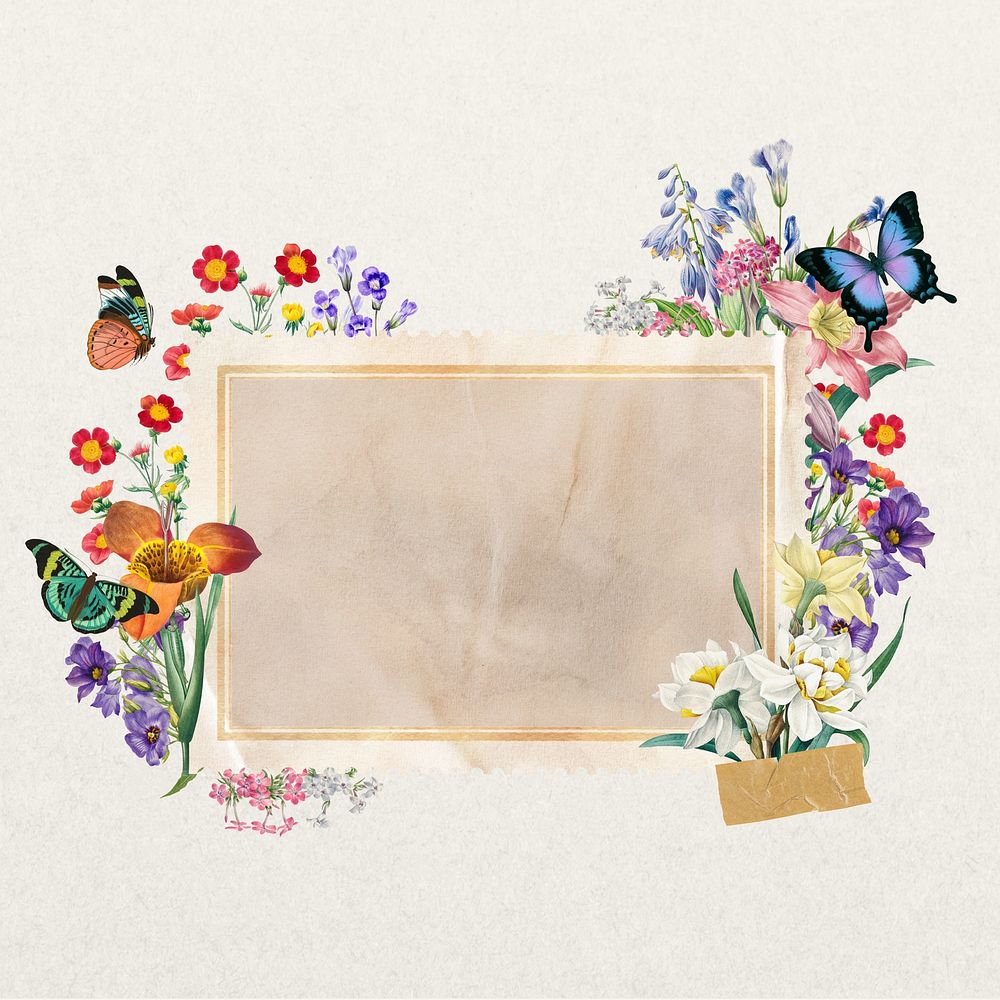 Aesthetic flower frame, butterfly botanical collage