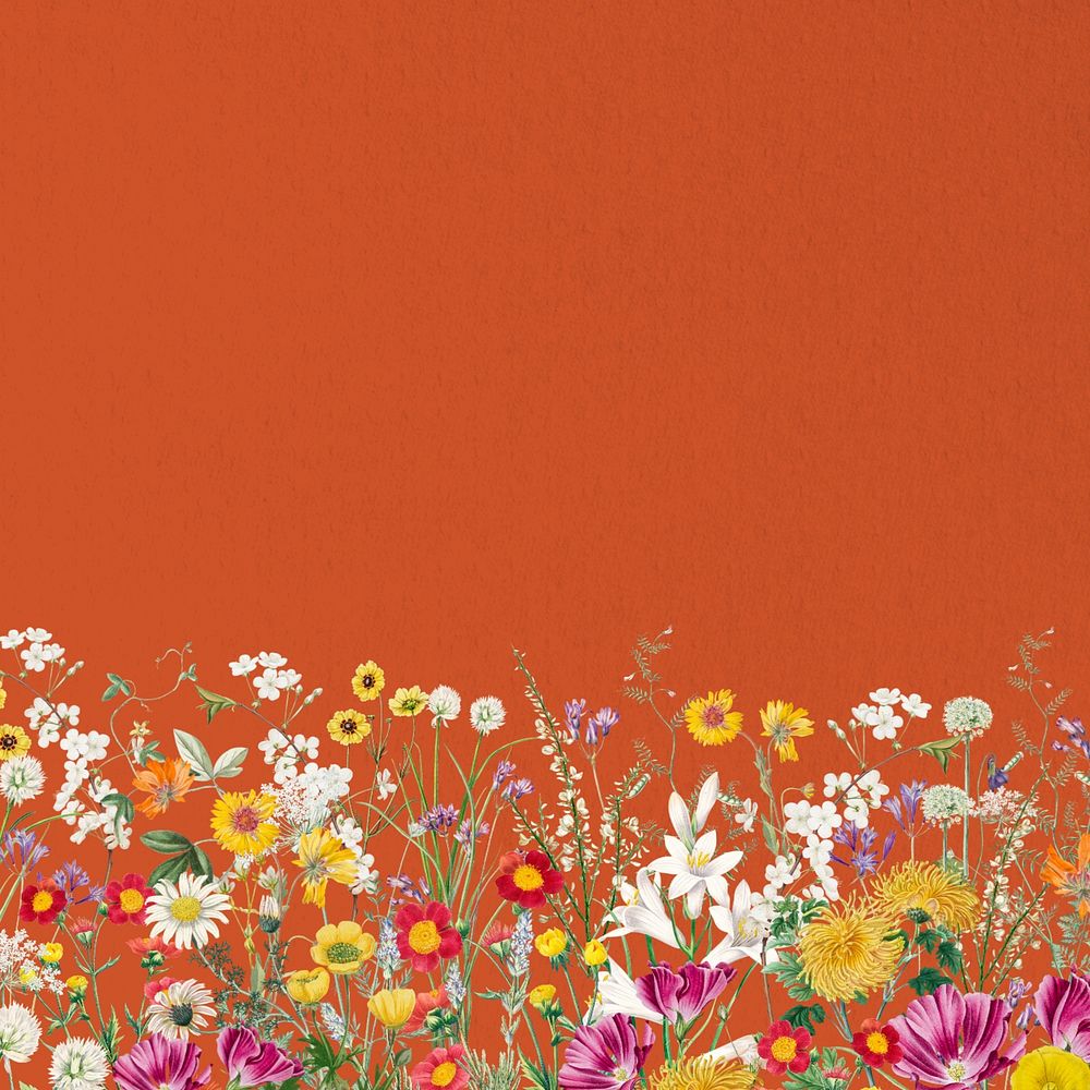 Spring wildflower border background, colorful botanical illustration