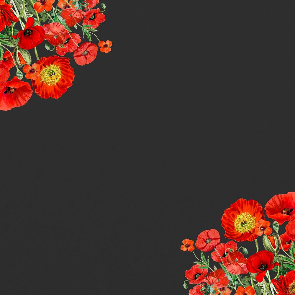 Poppy flower border background, Summer floral illustration