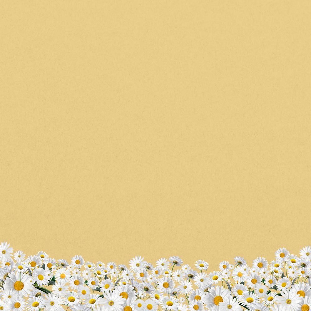 Daisy flower border background, pastel yellow design