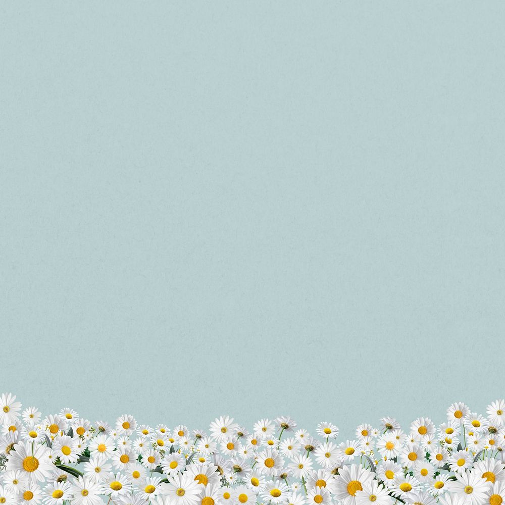Daisy flower border background, pastel blue design