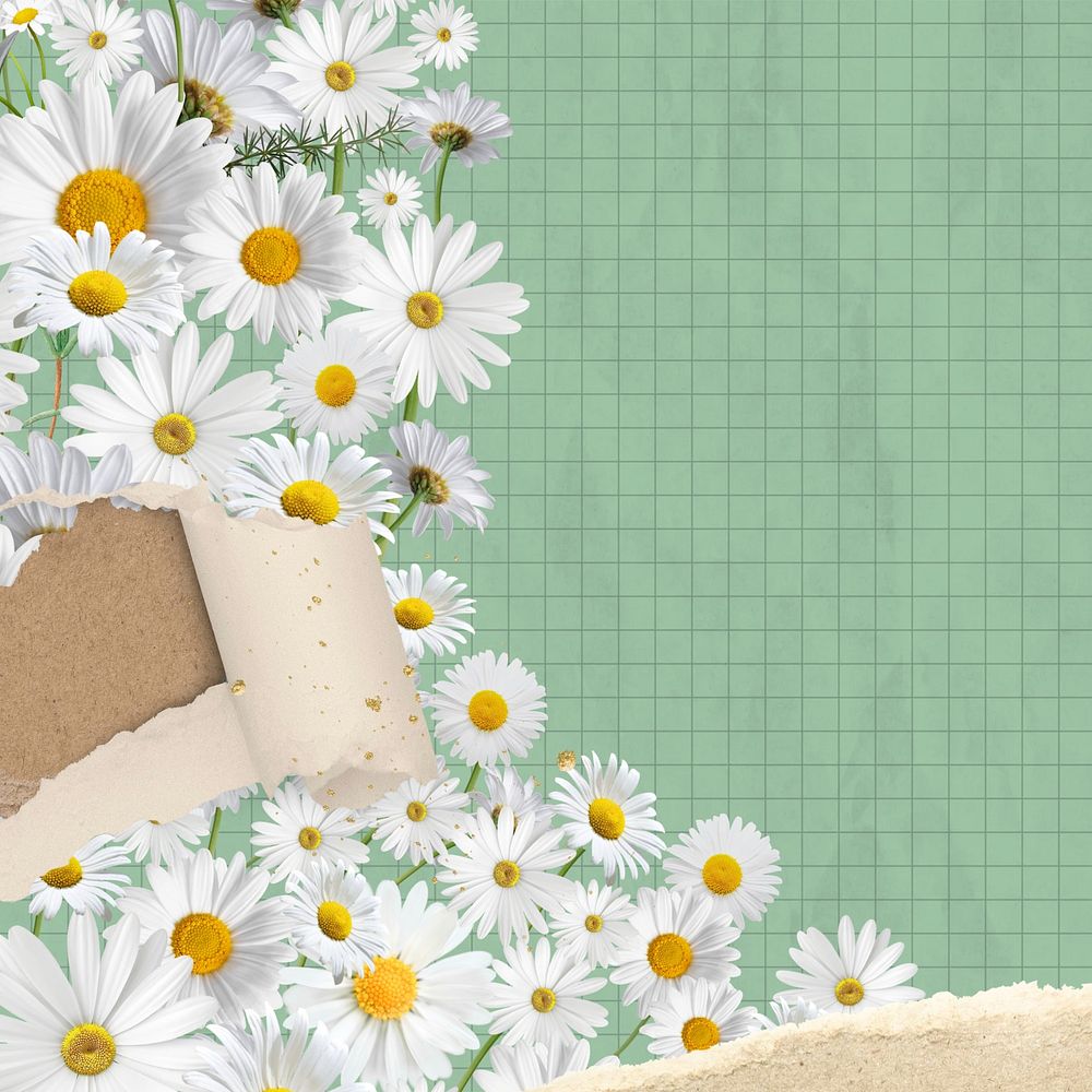 Ripped paper daisy background, grid patterned design