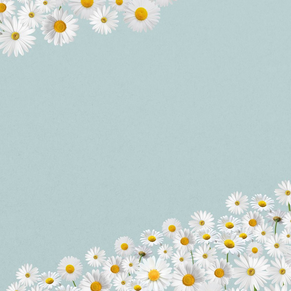 Daisy flower border background, pastel blue design