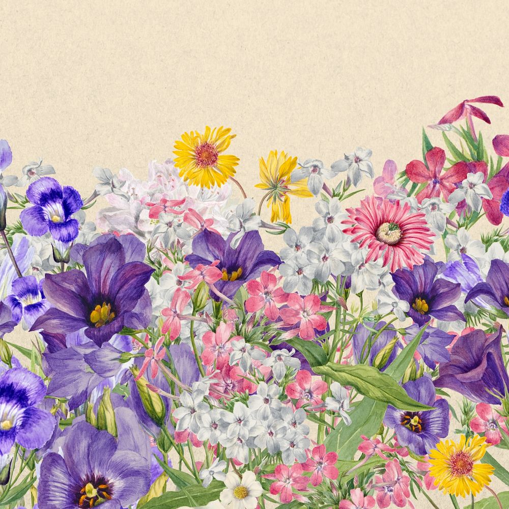 Colorful purple wildflower background, botanical border 
