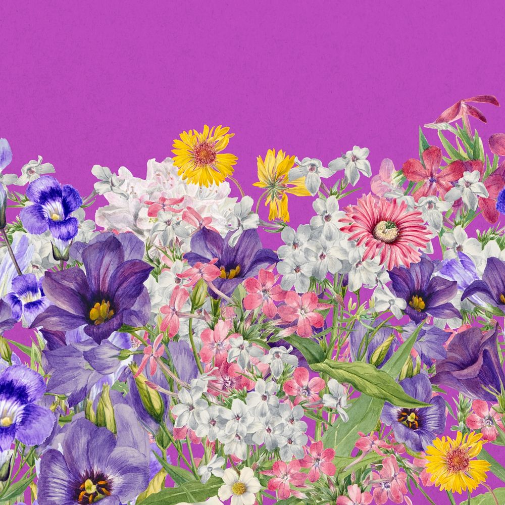 Colorful purple wildflower background, botanical border 