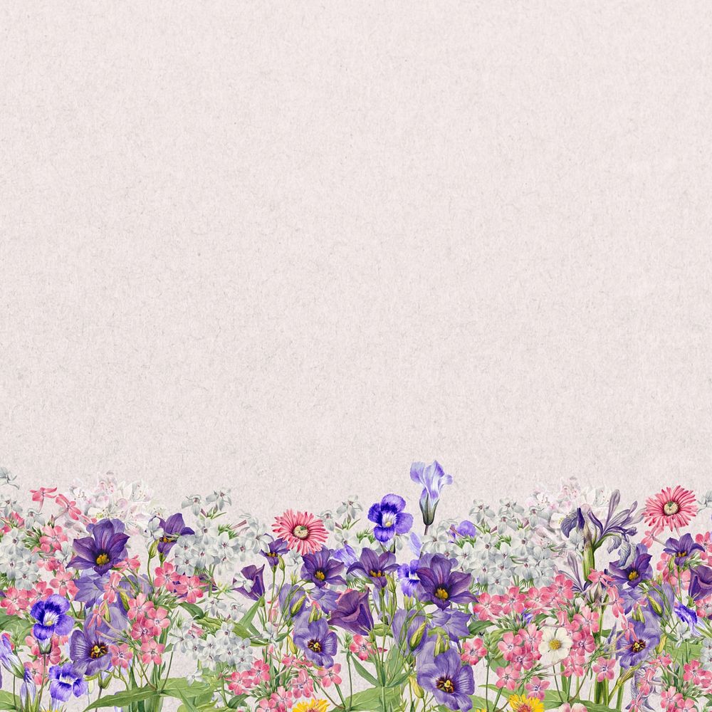 Aesthetic purple wildflower background, botanical border