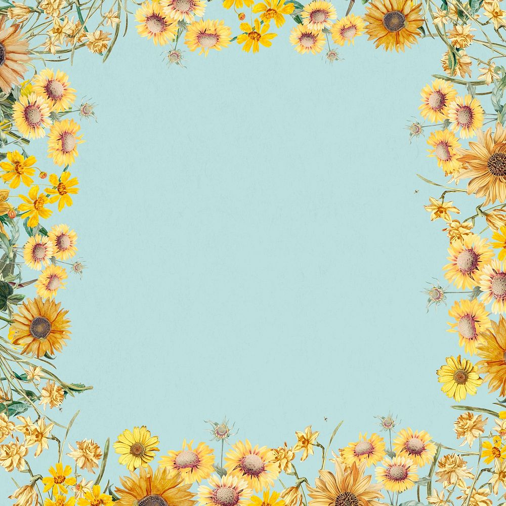 Spring sunflowers frame background, blue design