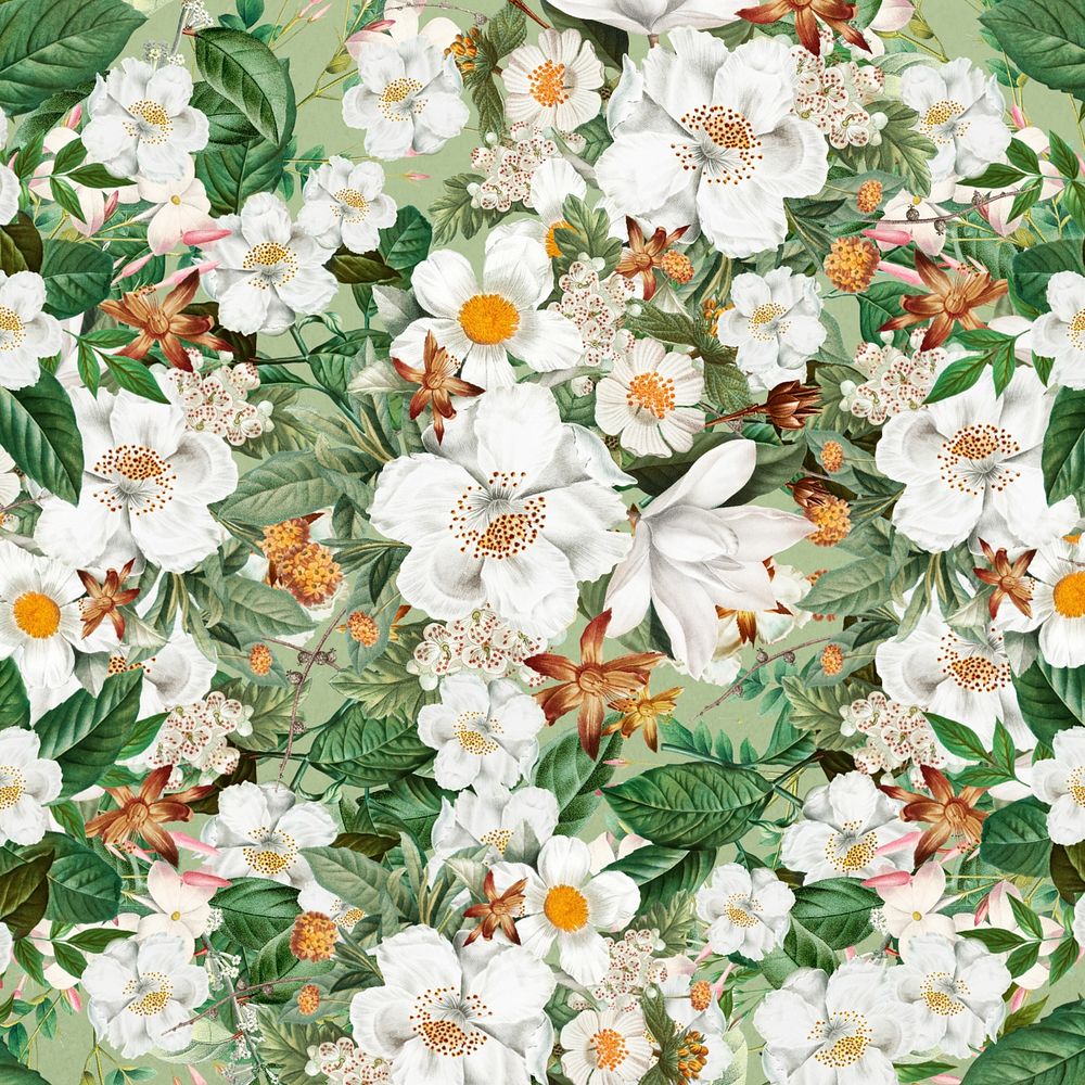 White floral pattern background, Spring flower illustration
