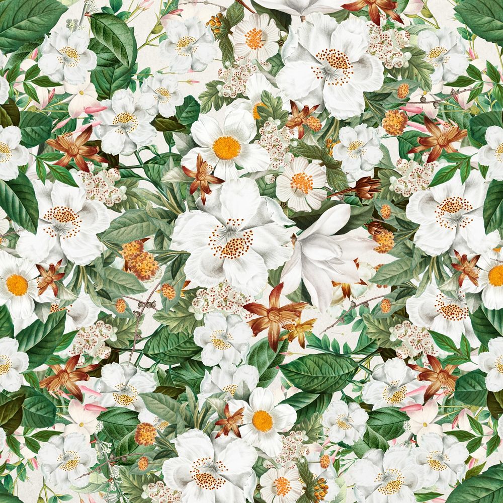 White floral pattern background, Spring flower illustration