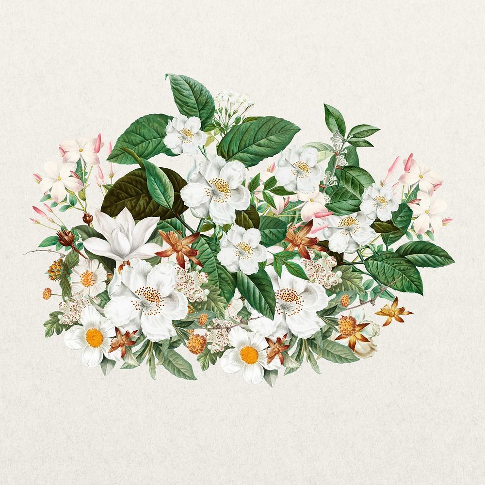 Jasmine flower, Spring floral collage art