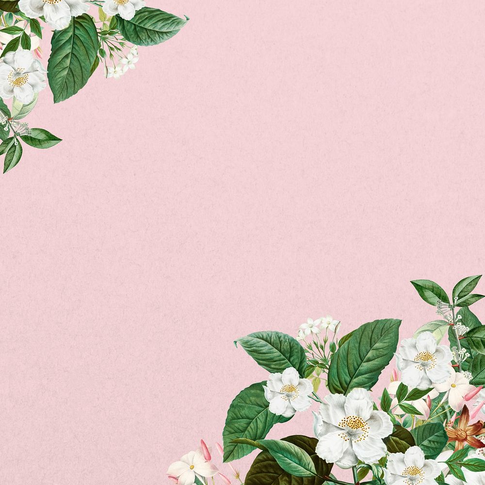 Jasmine flower border background, pink textured design