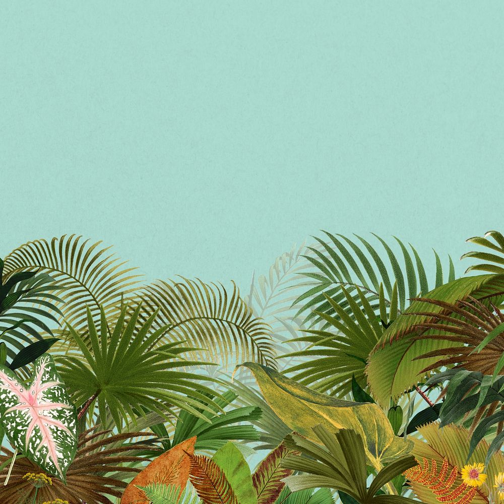 Tropical palm trees background, botanical border 