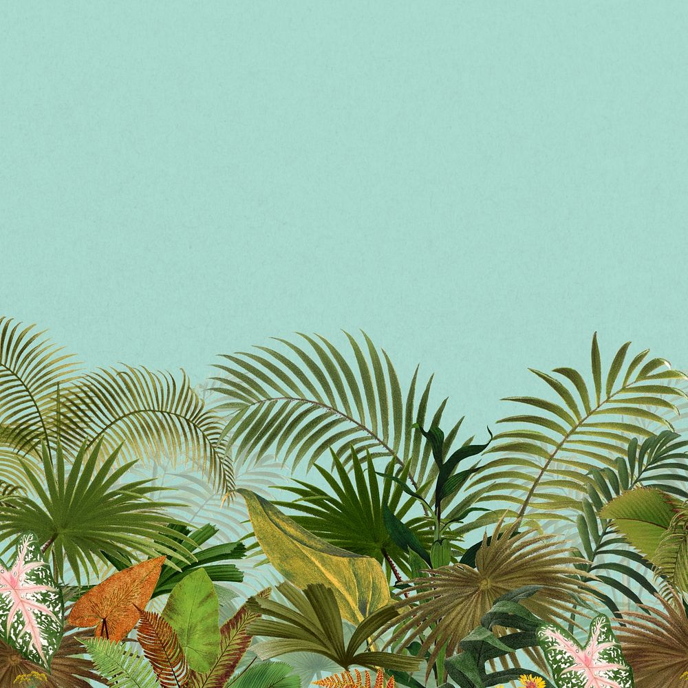 Tropical palm trees background, botanical border