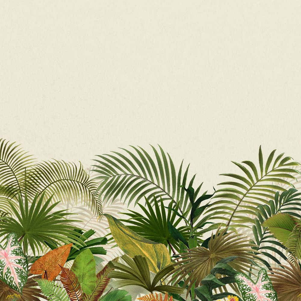 Tropical palm trees background, botanical border
