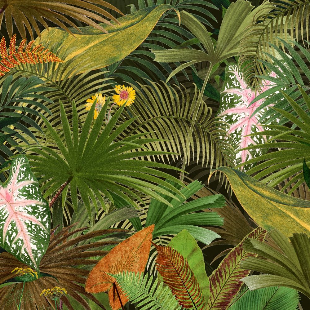 Tropical palm trees background, leaf illustration