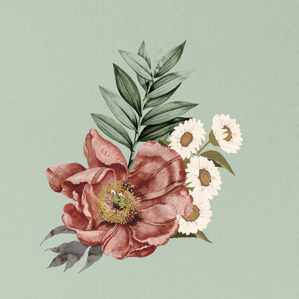 Pink vintage flower, botanical illustration