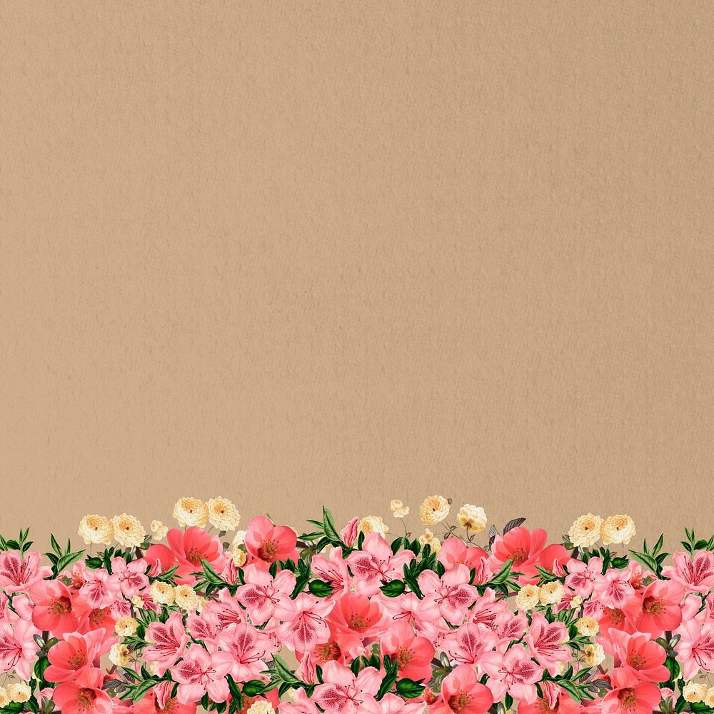 Brown azalea flowers background, pink botanical border