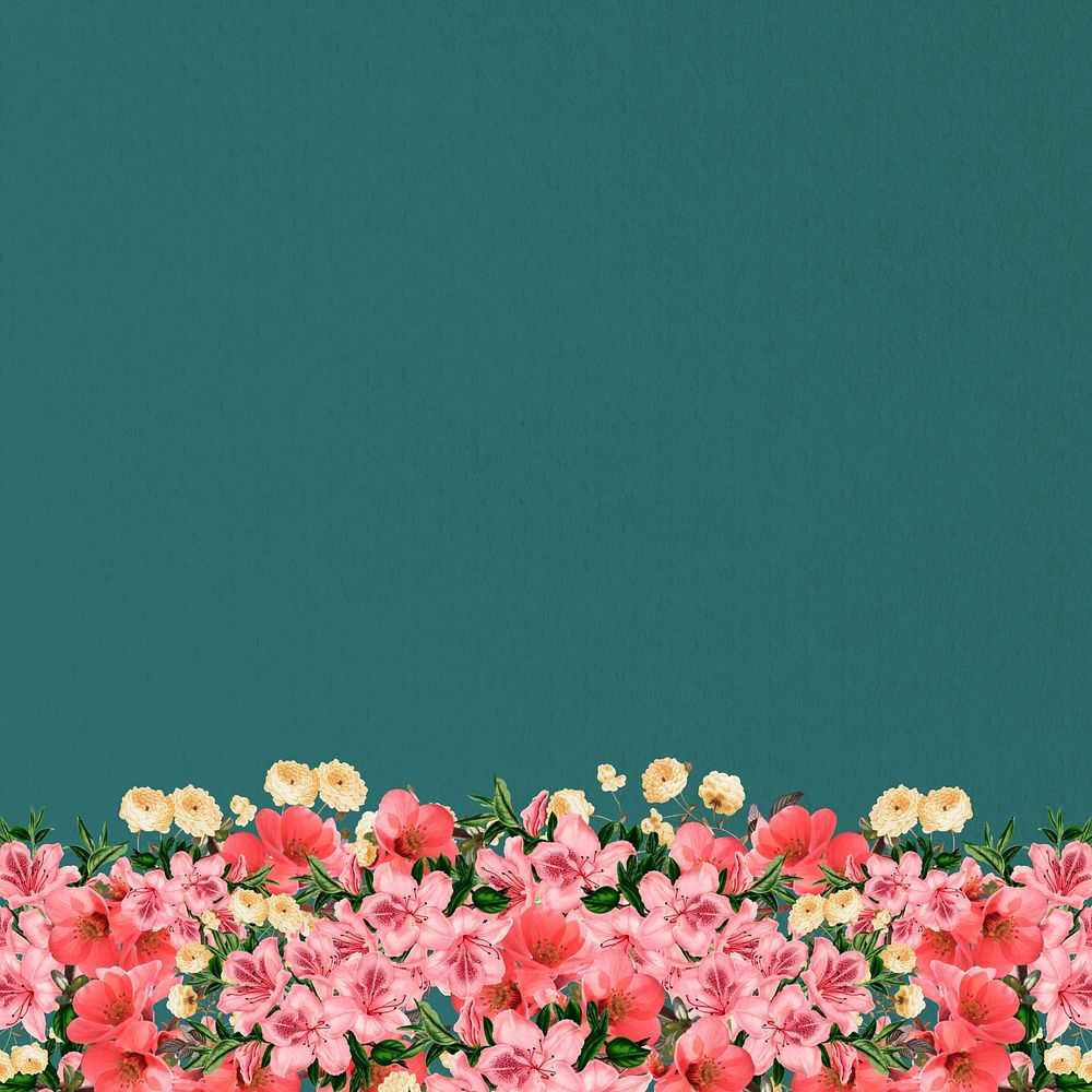 Green azalea flowers background, pink botanical border