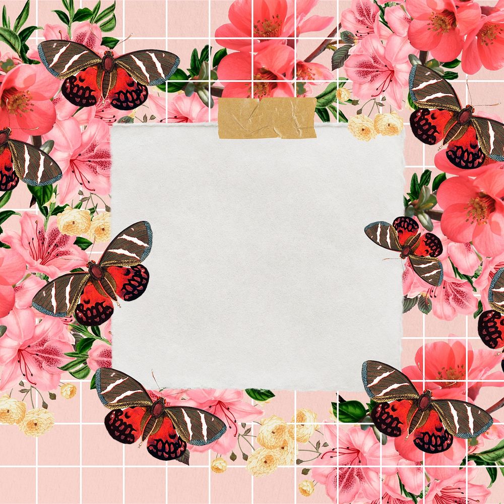Pink butterfly frame, note paper collage