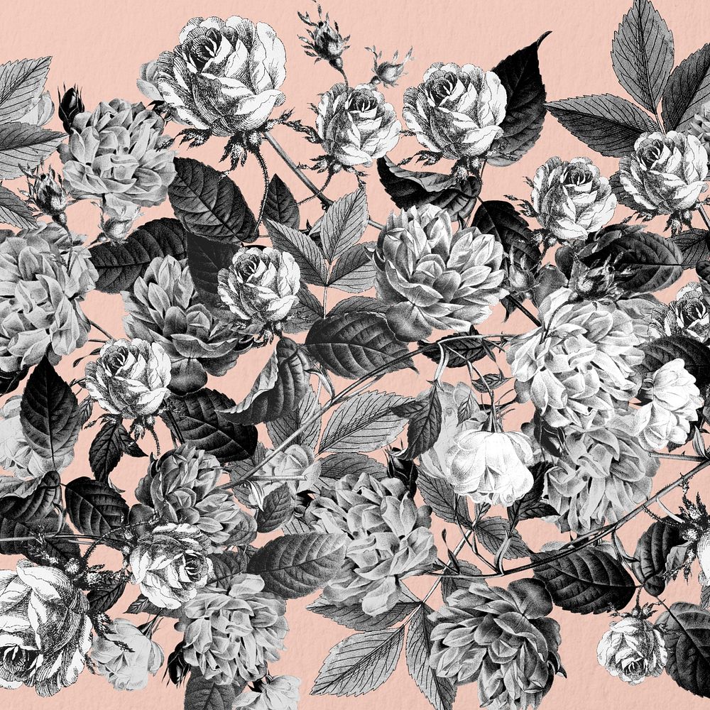 Wild roses background, black and white illustration