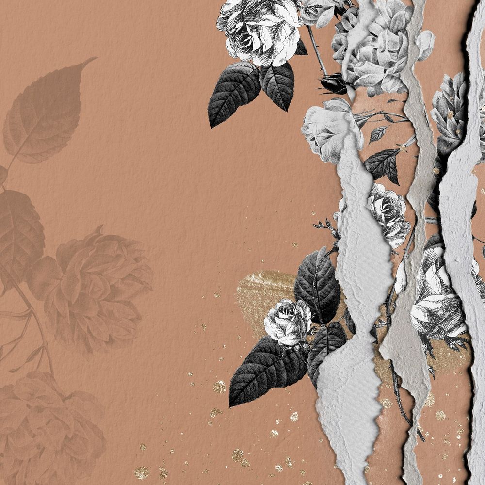 Vintage rose flower background, ripped paper border