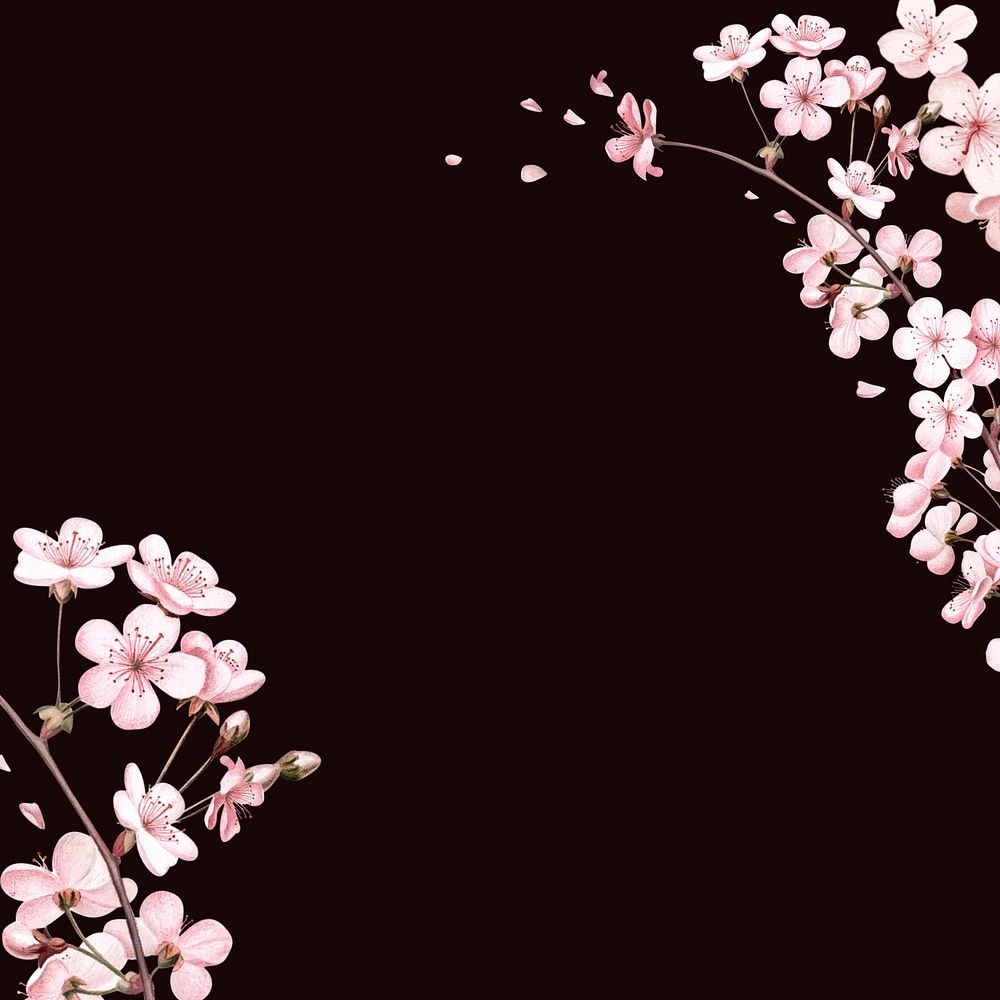 Japanese cherry blossom background, pink flowers illustration