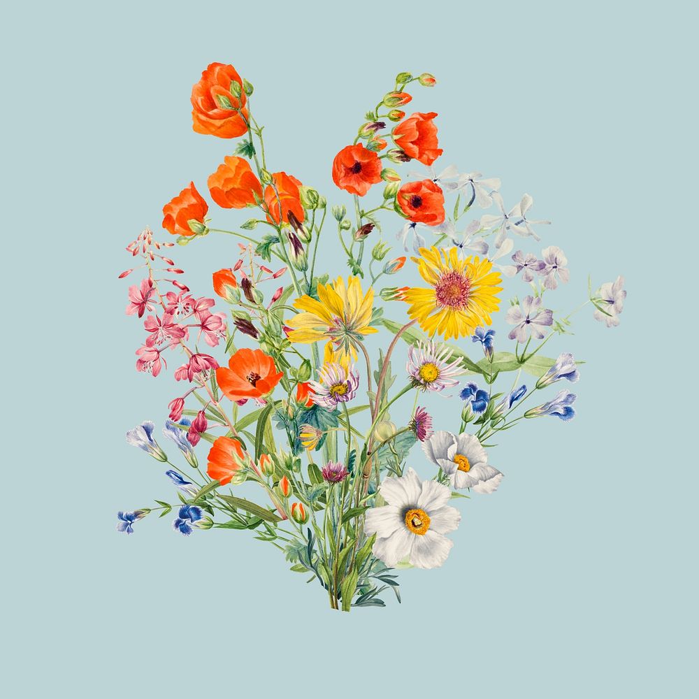 Colorful wildflower bouquet flower, botanical illustration