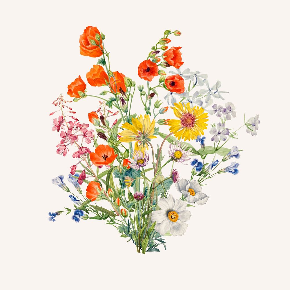 Colorful wildflower bouquet flower, botanical illustration