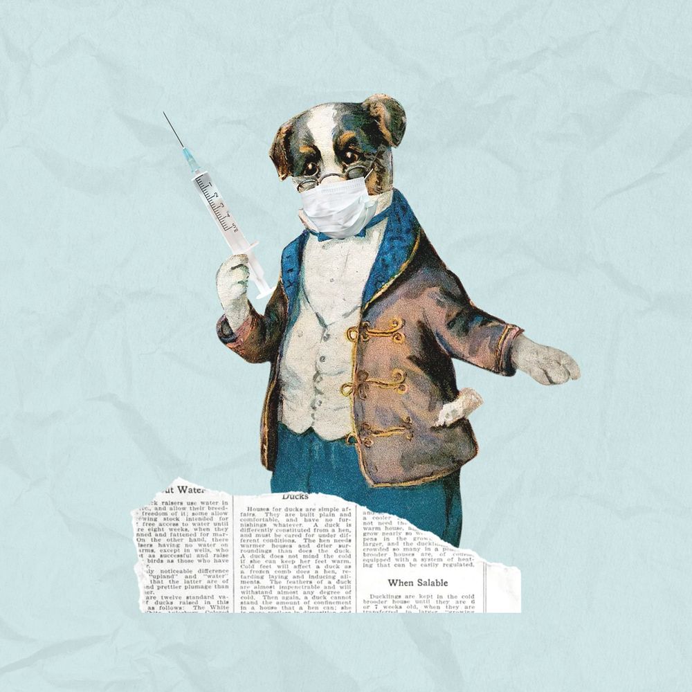 Dog holding needle, healthcare. Remixed by rawpixel.