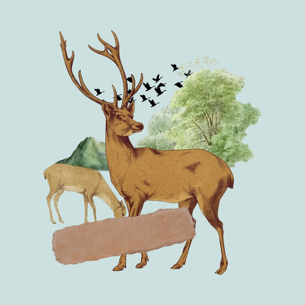 Stag deer note paper, wild animal collage art