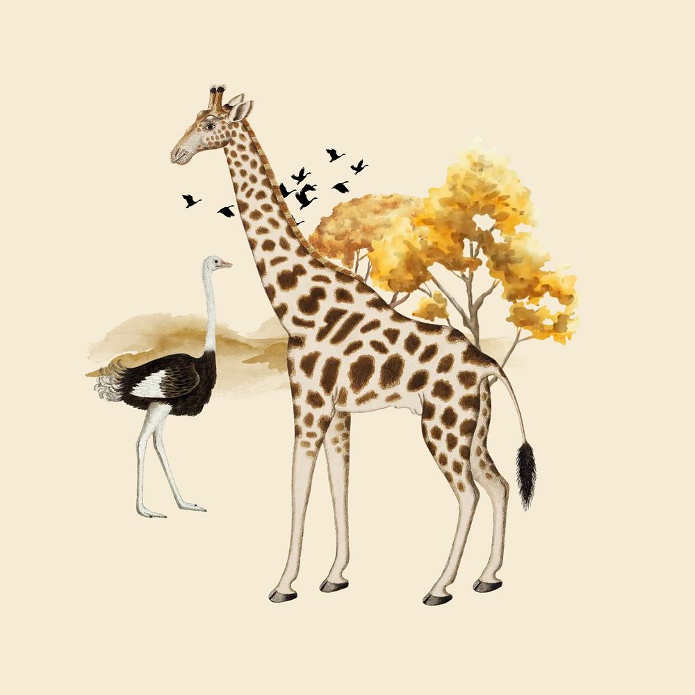Giraffe, wild African animal collage art