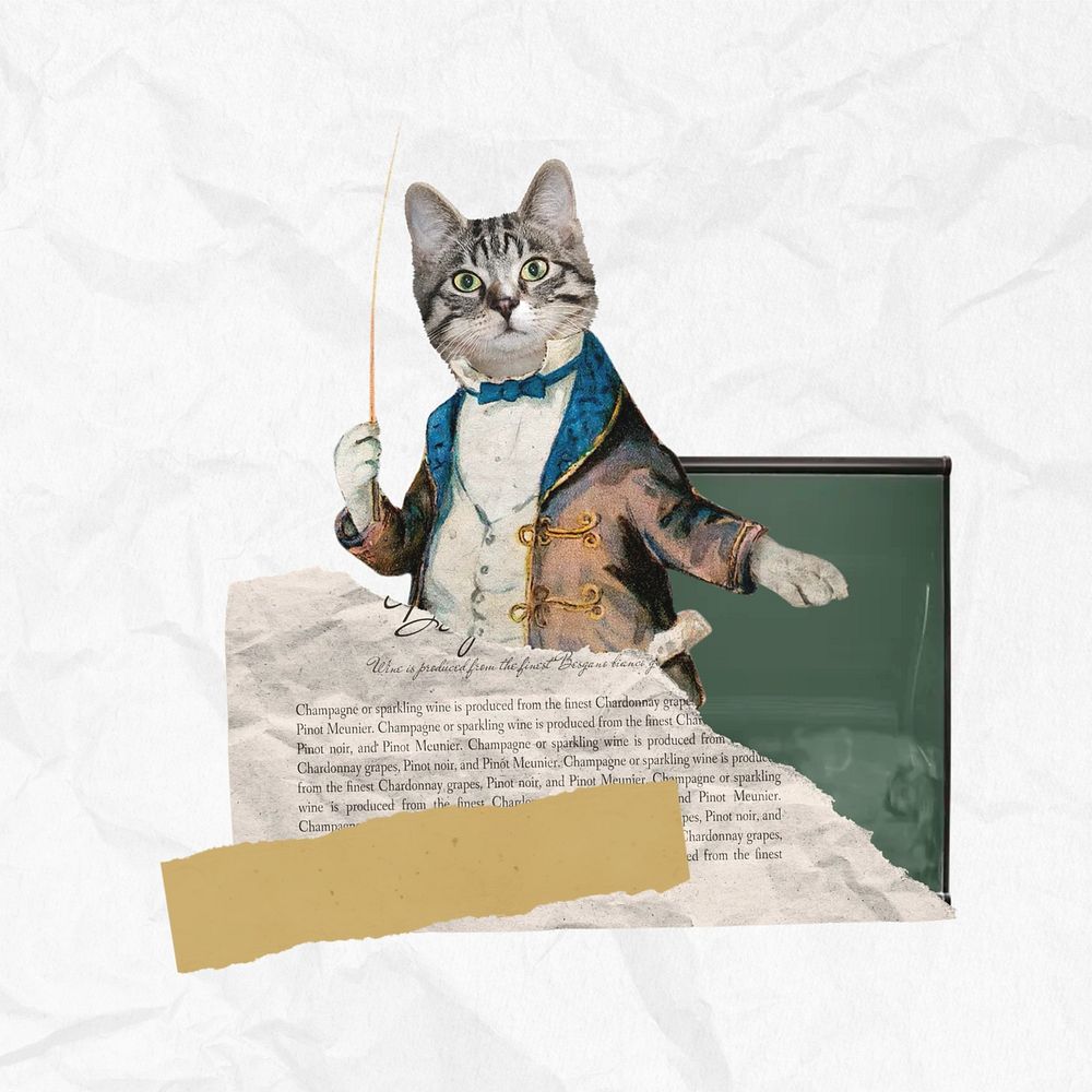 Cat dressed as teacher, education collage. Remixed by rawpixel.