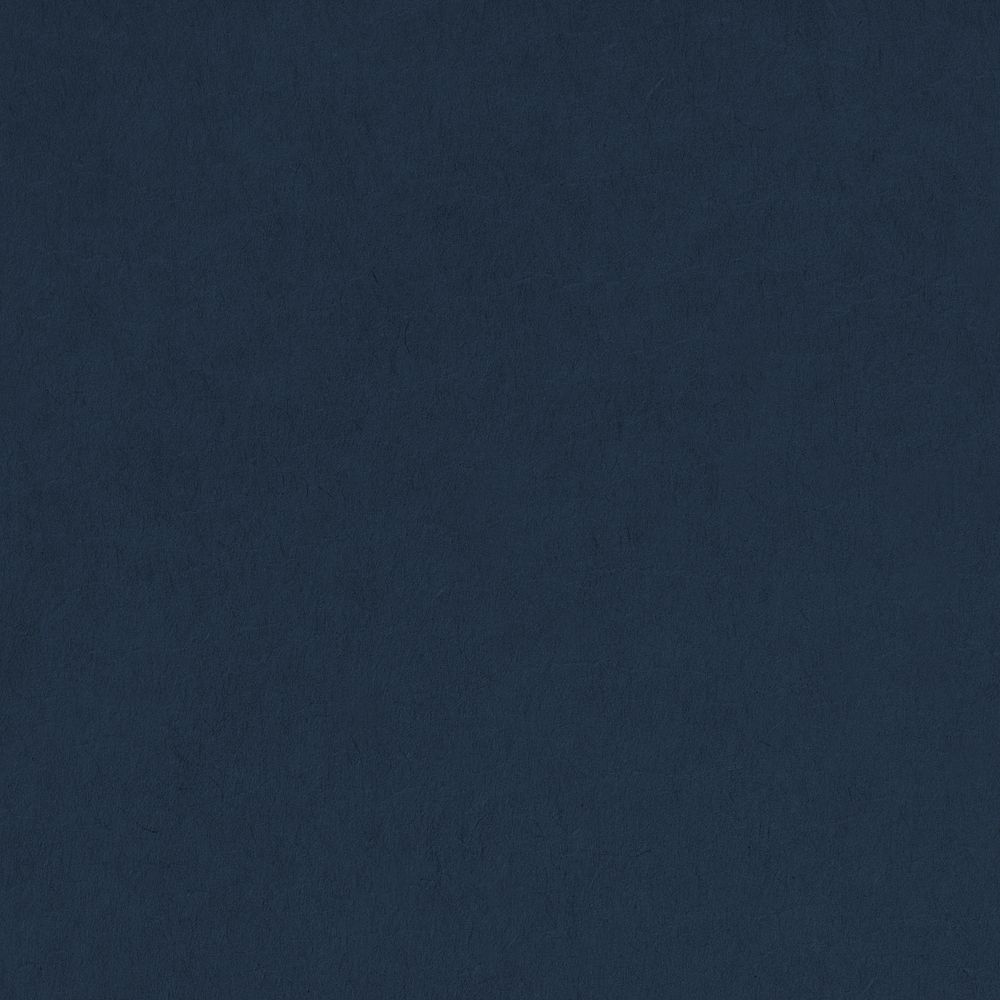 Textured navy blue background