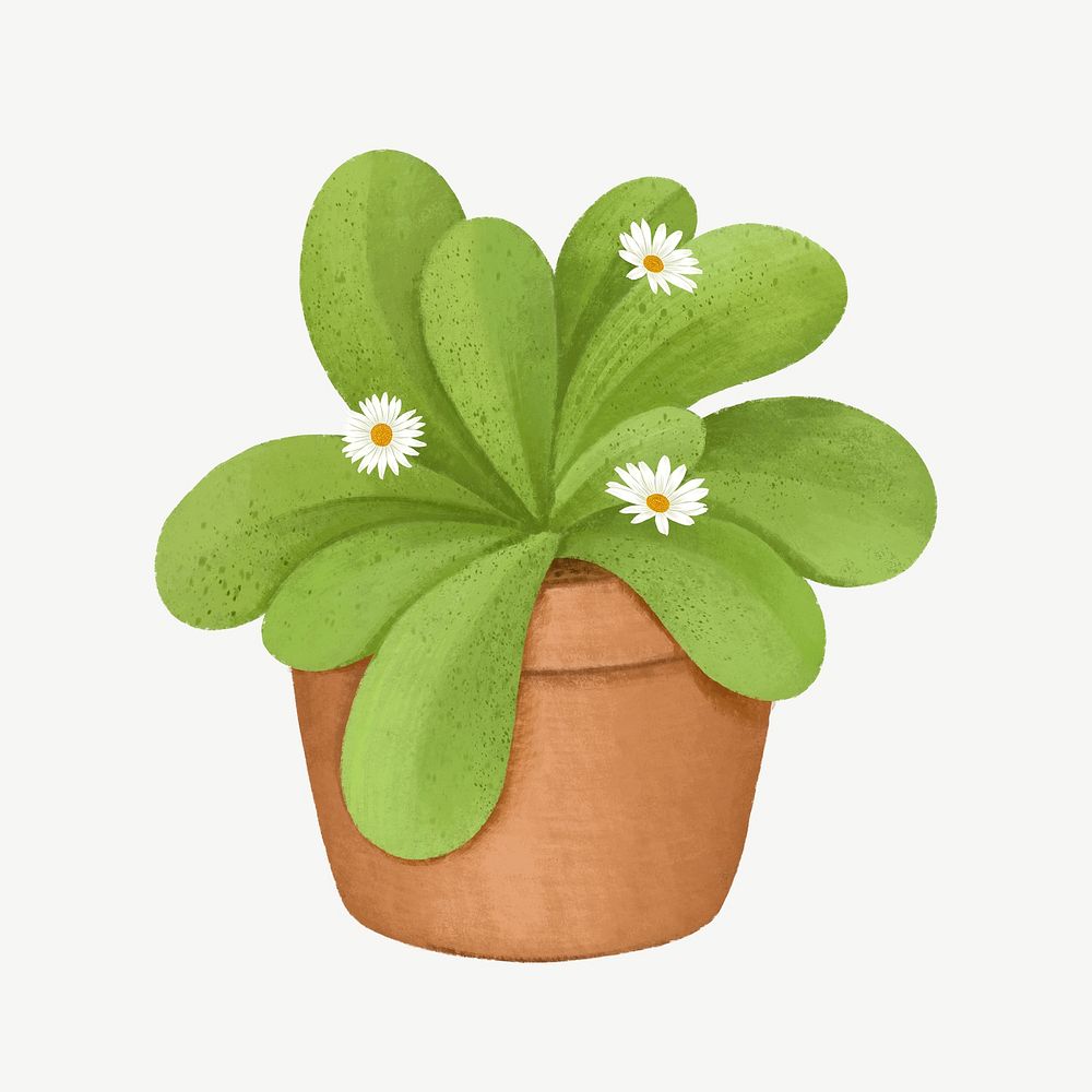 Aesthetic houseplant, botanical illustration psd