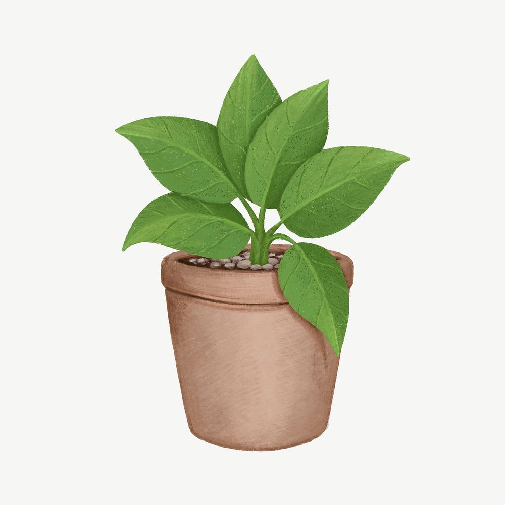 Aesthetic houseplant, botanical illustration psd