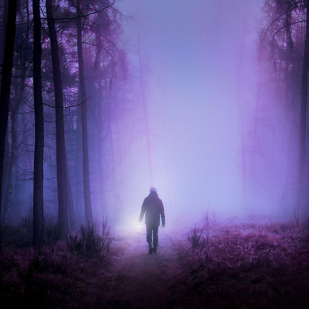 Man in forest, purple background design
