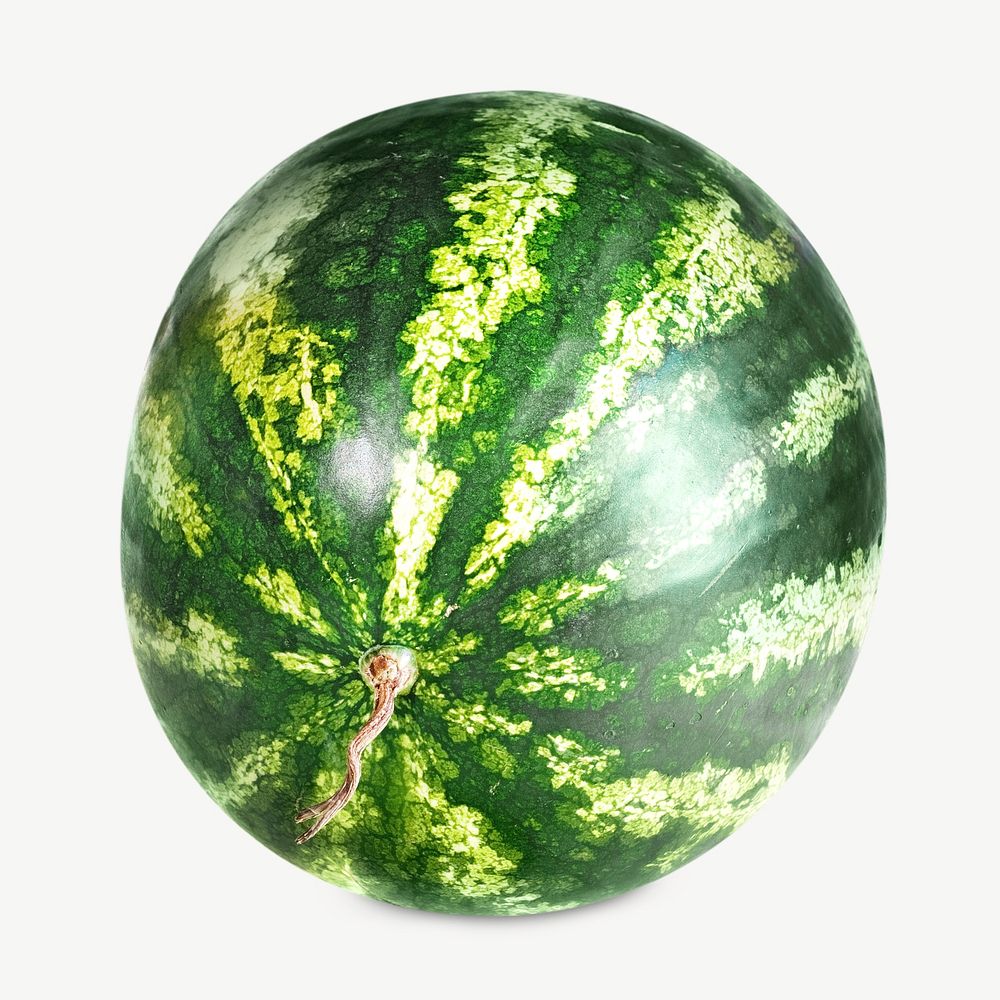 Tropical watermelon design element psd