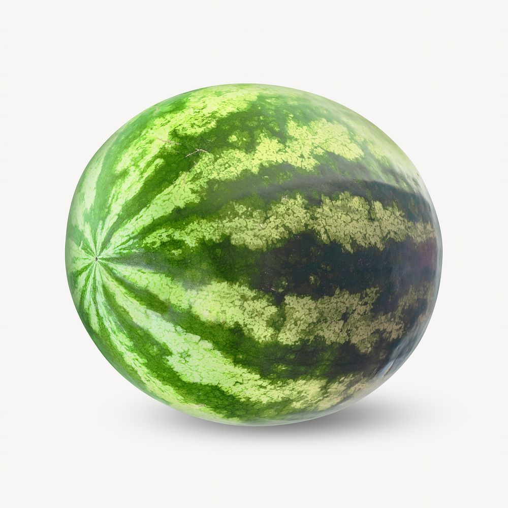 Summer favorite watermelon isolated object