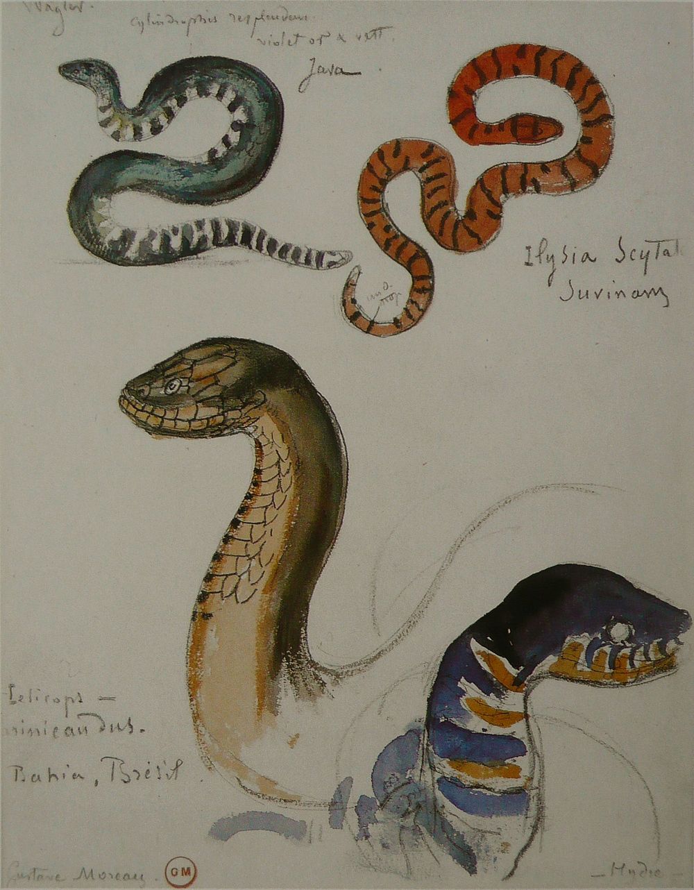 Gustave Moreau - Quatre &eacute;tudes de serpents by Gustave Moreau 